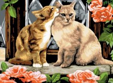 PJL7 Painting by numbers KISSING KITTENS
