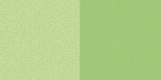 Dini Design Scrappapier 10 vl Stippen bloemen - Lime groen