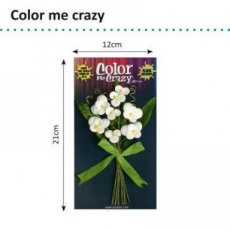(13d) 1570-003 Petaloo color me crazy bouquets pansies x8