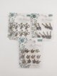 (16f)  Craf consortium set Herbarium Kit