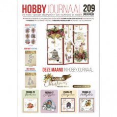 HJ209 Hobbyjournaal 209