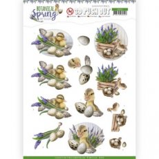 SB10434 3D Pushout - Amy Design - Botanical Spring - Happy Ducks